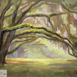 Louisiana Oaks Stretching Across A Path - Original Artwork