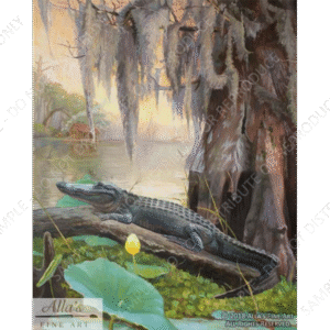 Cajun Haven