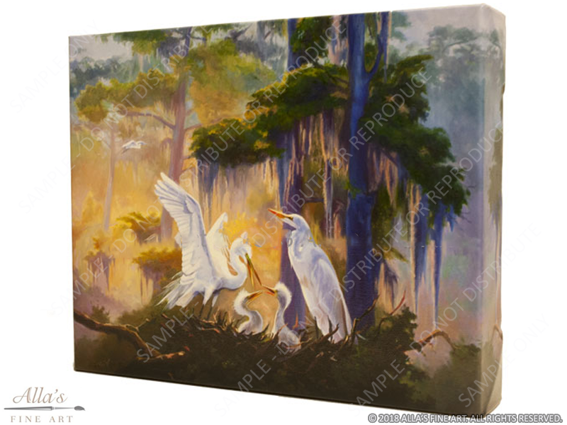 Nesting Egrets