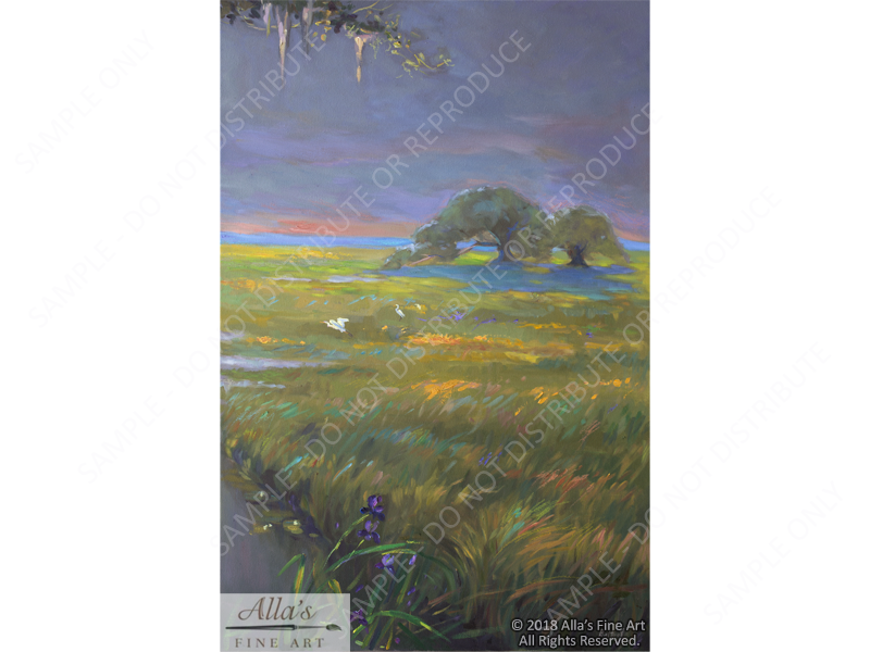 Oak Tree In Louisiana Moonlight Panorama 3 - Original Artwork