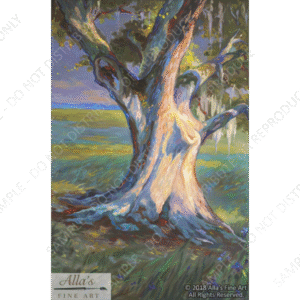 Oak Tree In Louisiana Moonlight Panorama 1