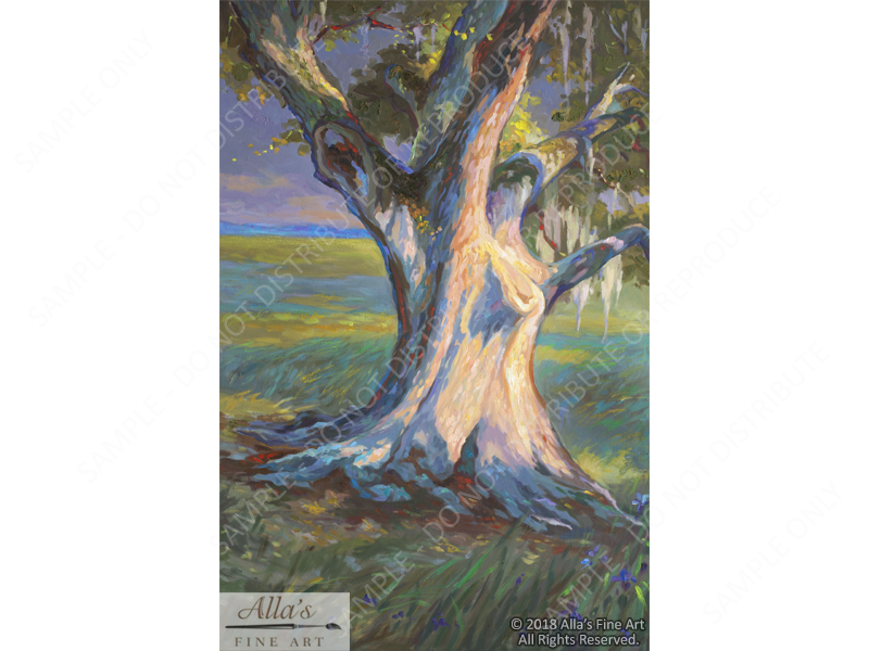Oak Tree In Louisiana Moonlight Panorama 1 - Original Artwork