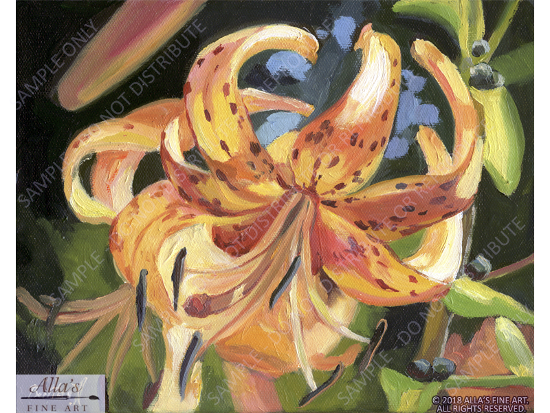 Tiger Lily