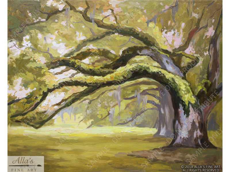 Louisiana Oak Trees And Azaleas - Original Artwork