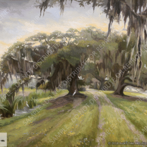 Jungle Garden Oak Trees At Avery Island Louis - Original Artwork