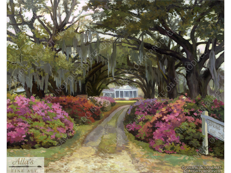 Louisiana Oaks In Spring - Original Artwork