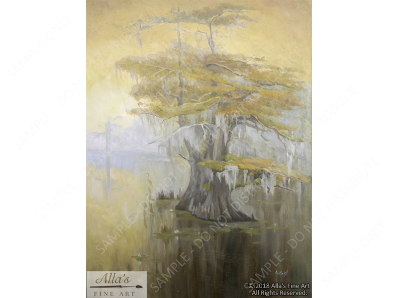 Golden Morning In A Louisiana Swamp - Original Artwork
