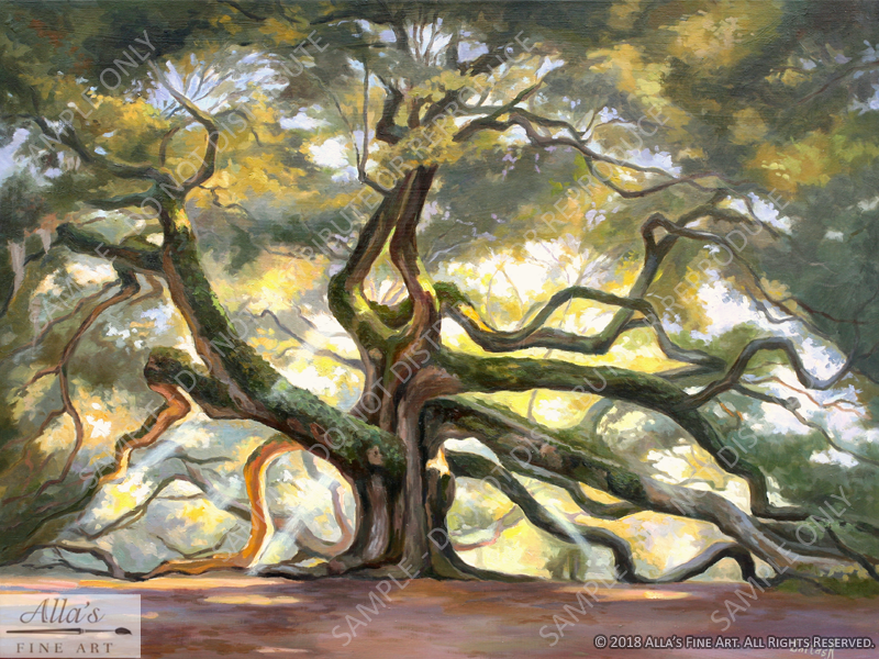 Angel Oak Tree In South Carolina