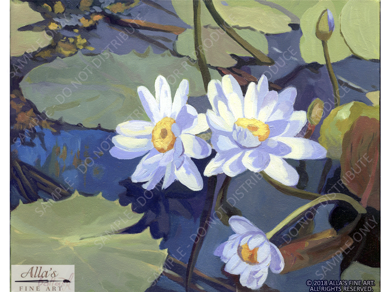 Water Lilies - Original Artwork