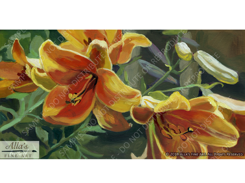 Yellow and Orange Lilies
