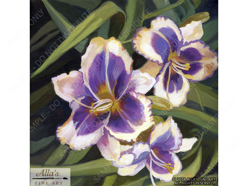 Purple and White Lilies