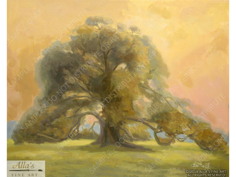 Louisiana Oak With Golden Sky - Original Artwork