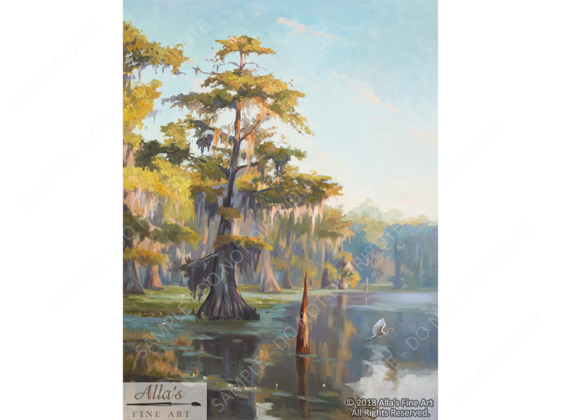 Louisiana Bayou Panorama 1 - Original Artwork