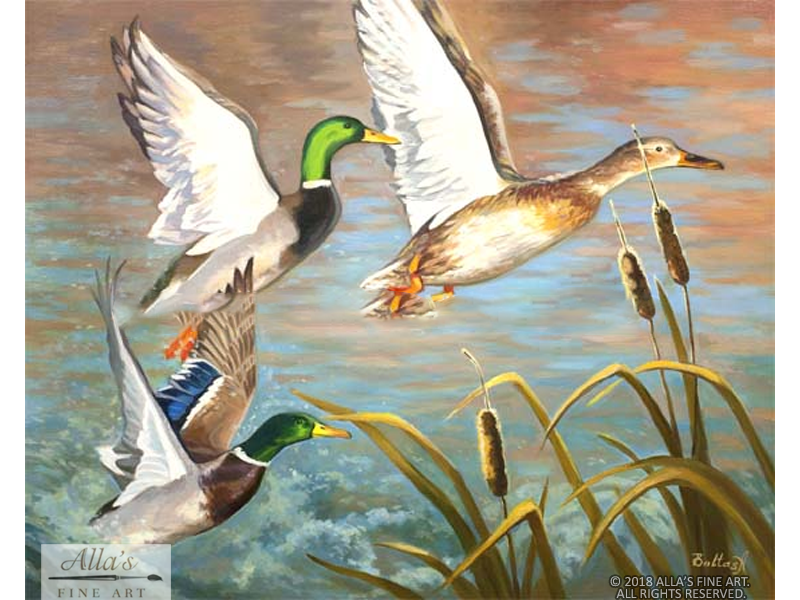 Ducks - Original Artwork