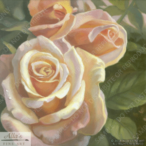 Peach Roses