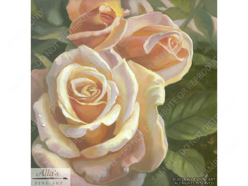 Peach Roses - Original Artwork