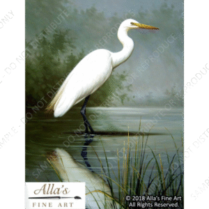 Nesting Egrets