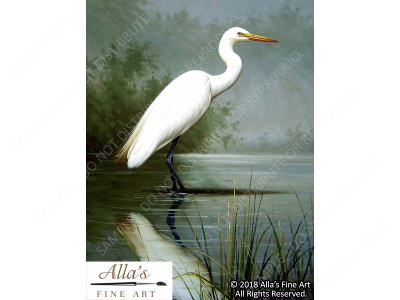 Nesting Egrets