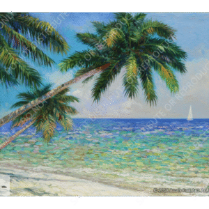 Tropical Island Shore