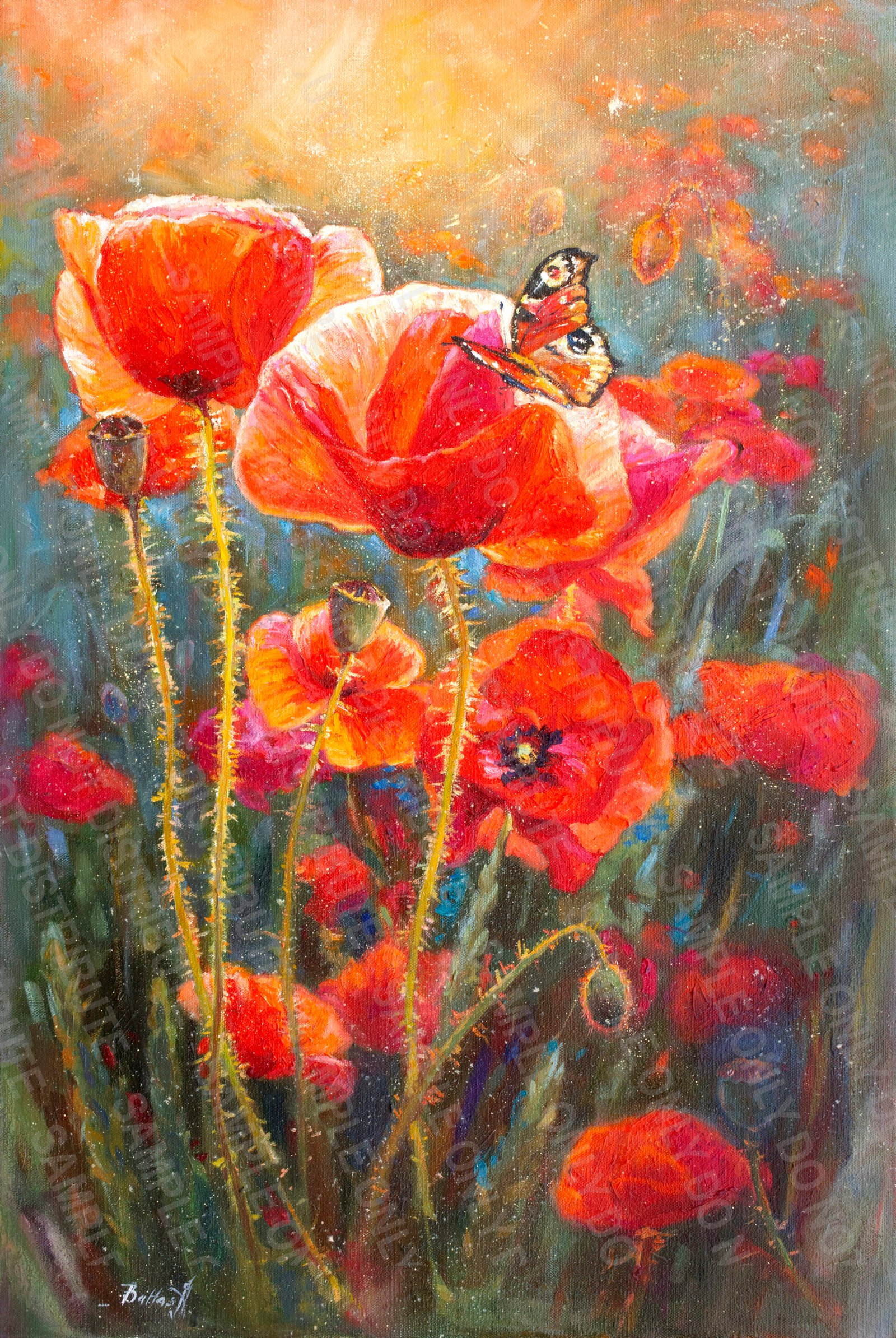Sunset Poppies