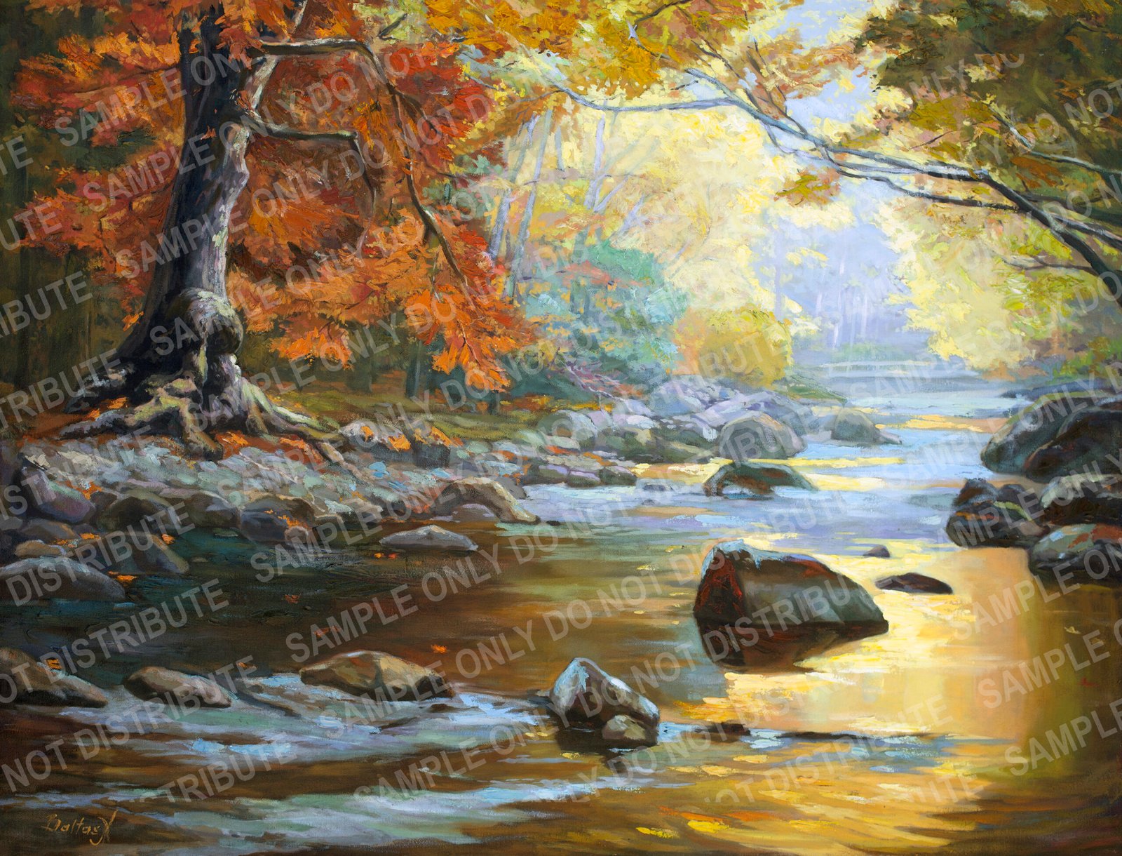CREEK IN THE FALL