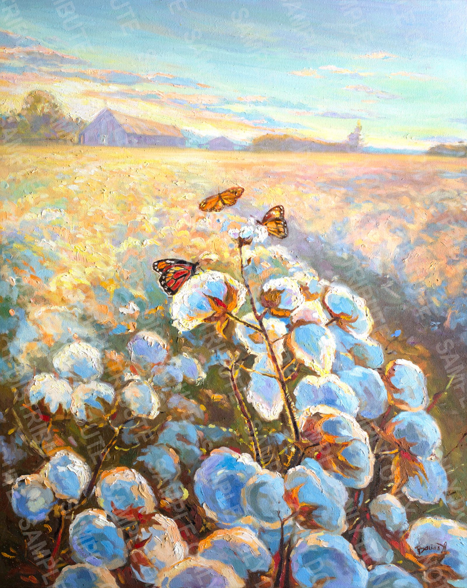 COTTON    FIELD Original oil on canvas