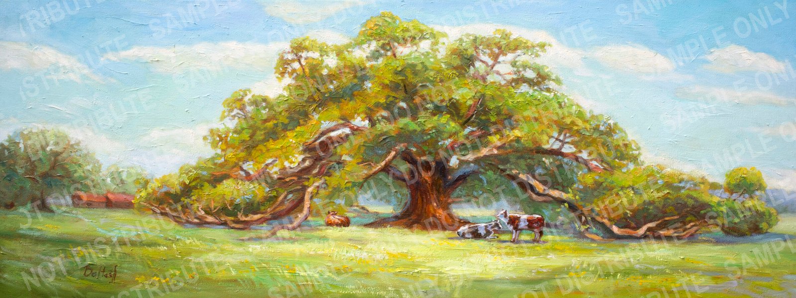LIVE OAK PASTURE