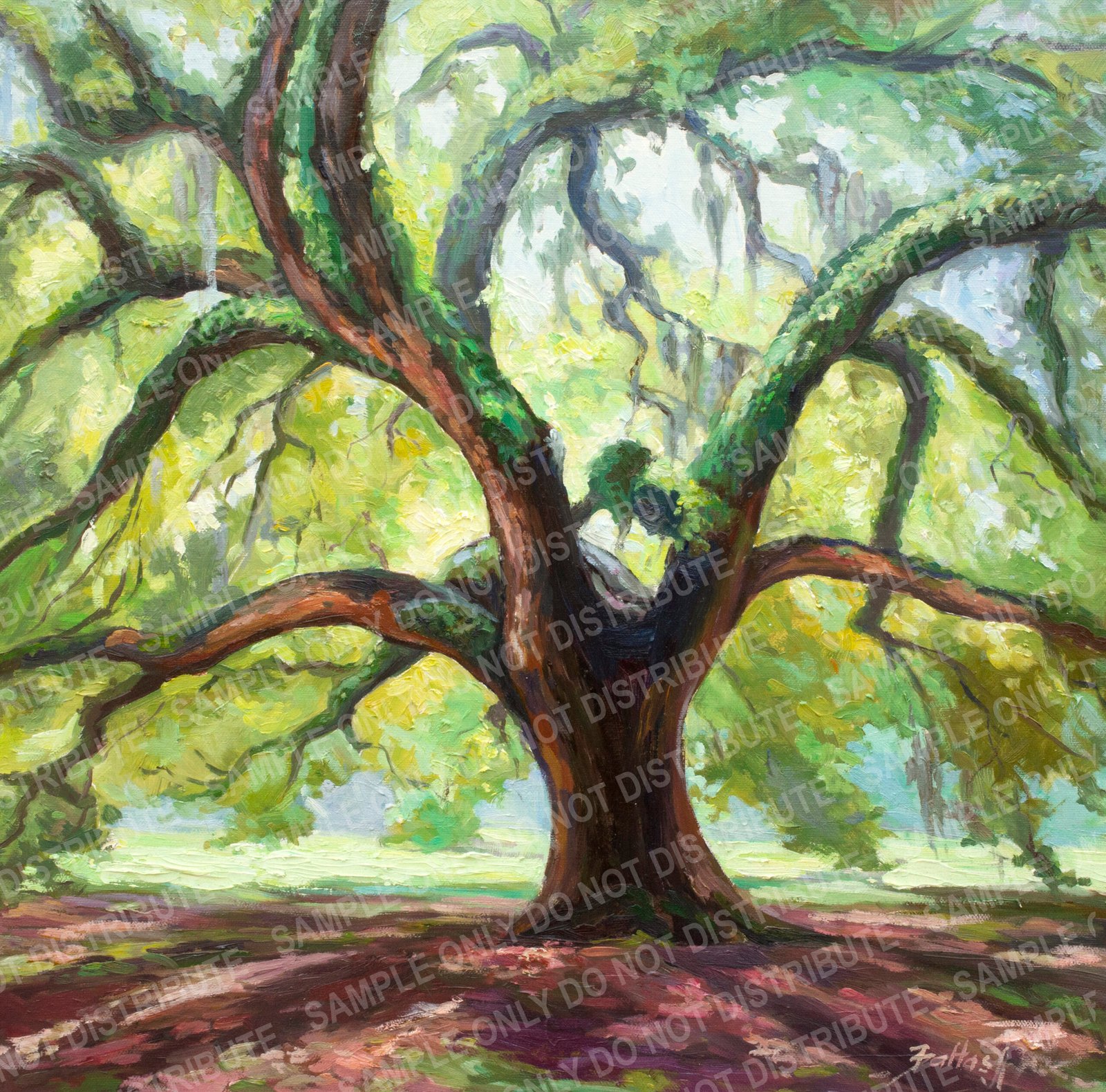 Spring oak