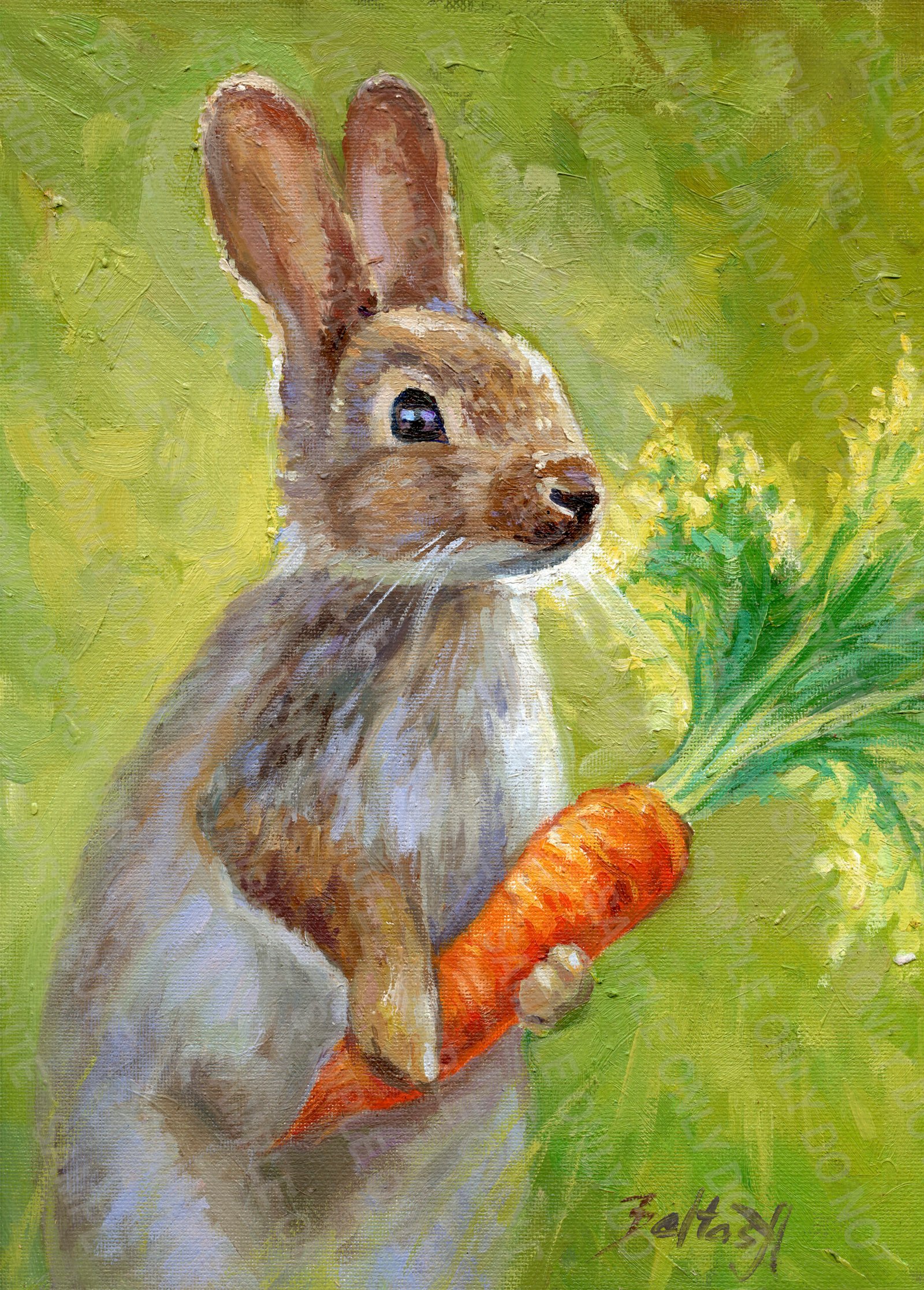 Bunny rabbit
