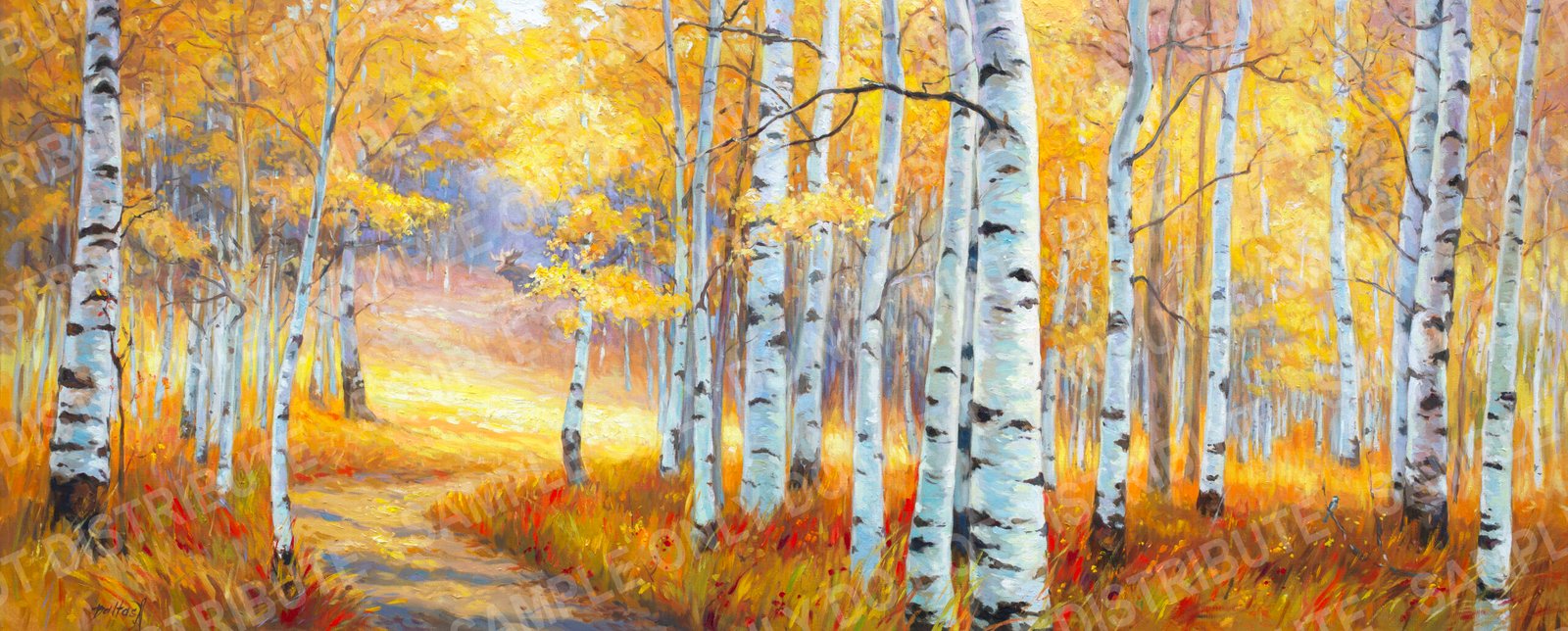 Aspens in fall
