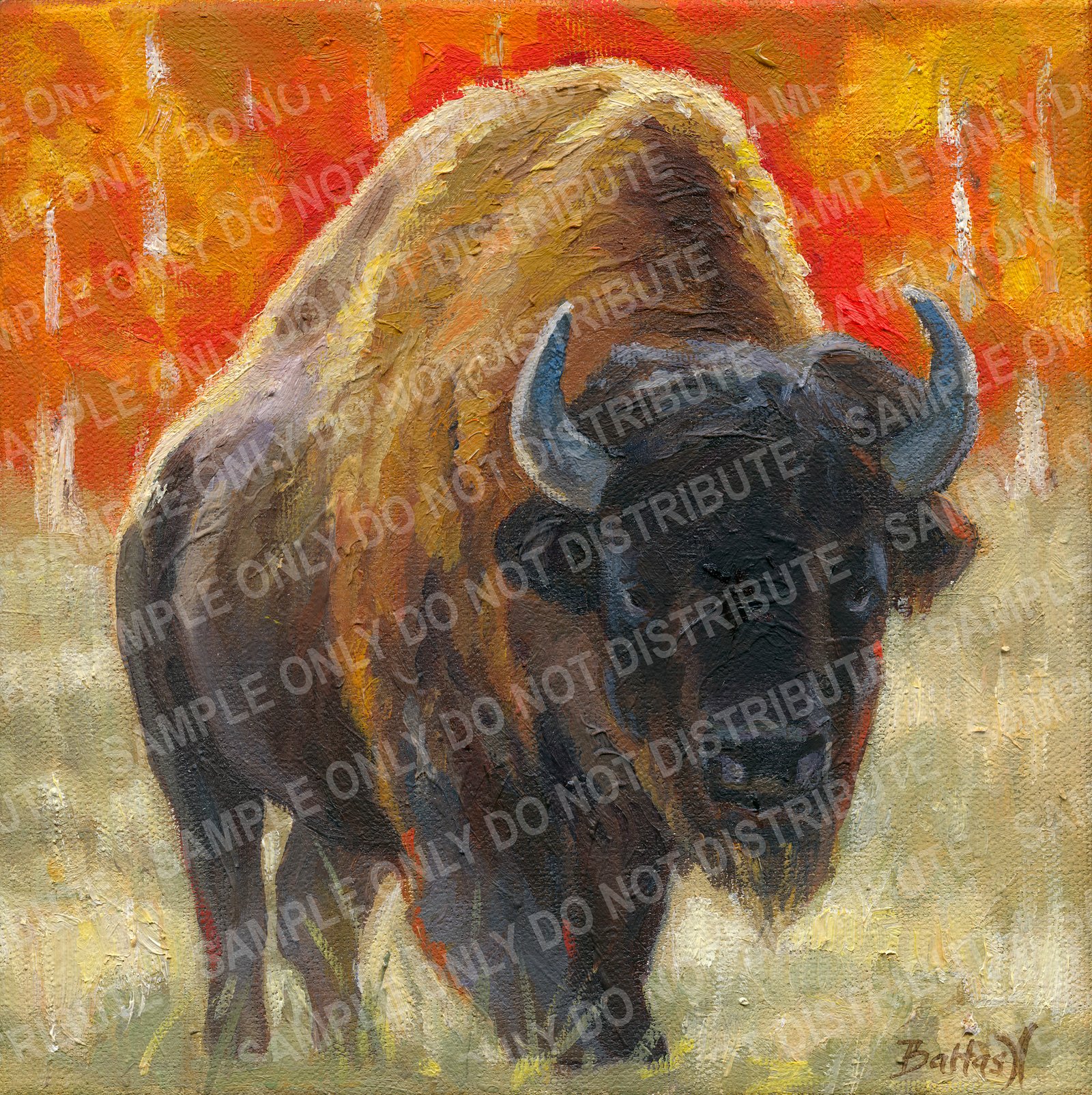 Buffalo