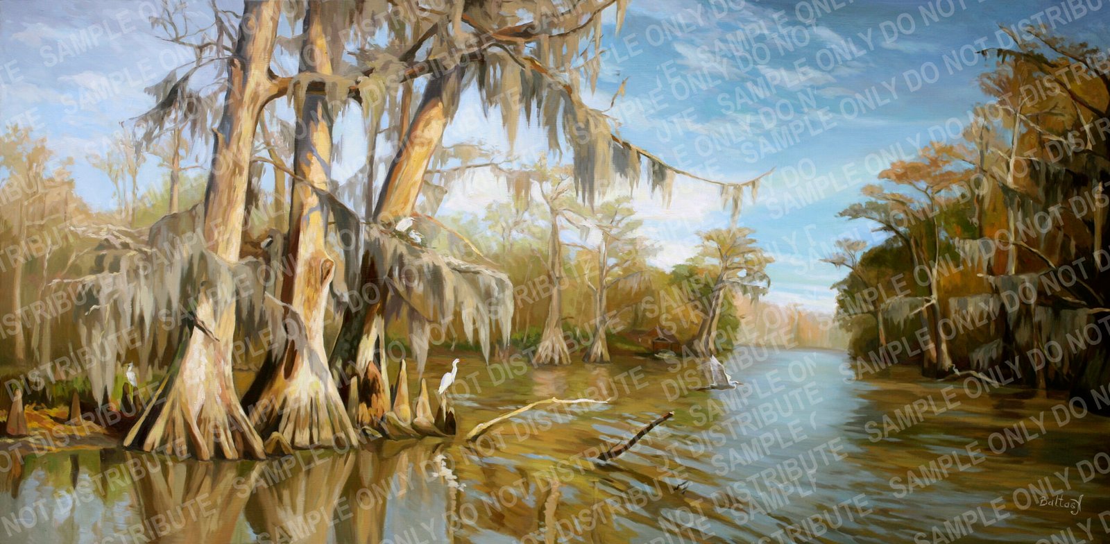 Early spring in the bayou