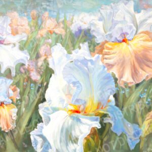 irises in the spring