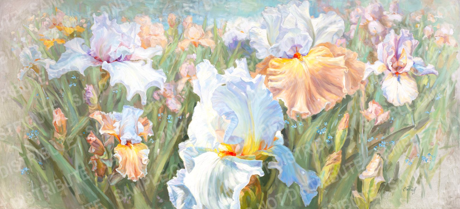 irises in the spring