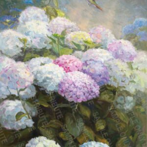 Hydrangea bloom
