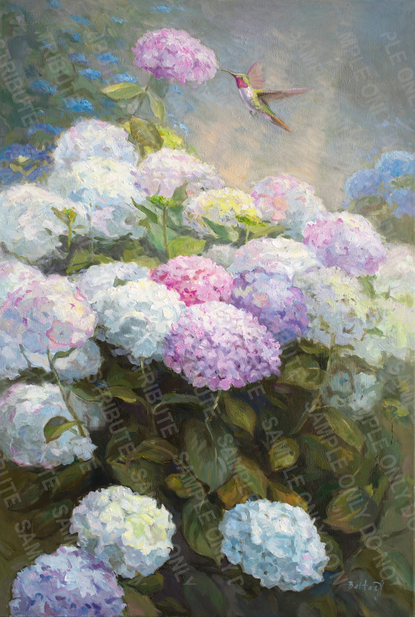 Hydrangea bloom