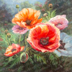 POPPIES VARIETIES