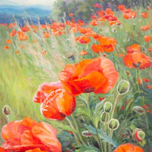 Valley poppies
