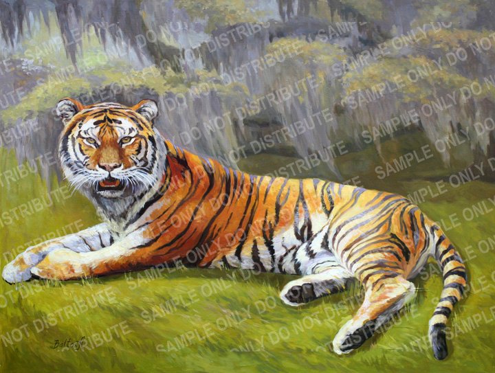 Tiger