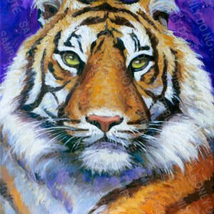 LSU Tiger