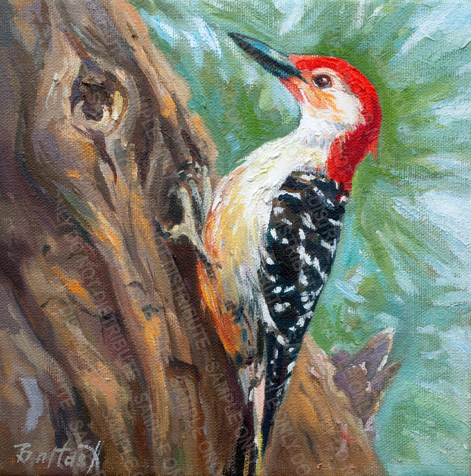 Woodpecker